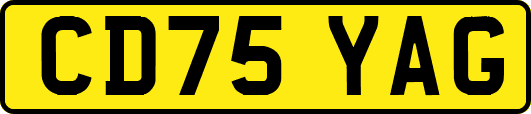 CD75YAG