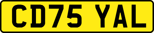 CD75YAL