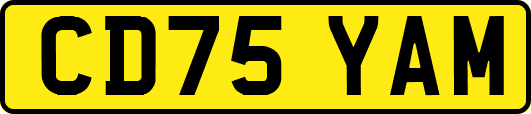 CD75YAM