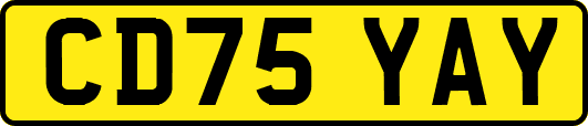 CD75YAY