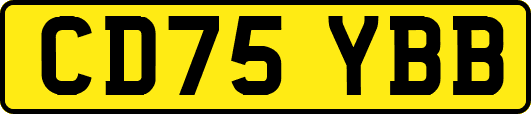 CD75YBB