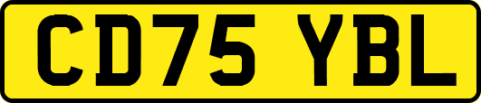 CD75YBL