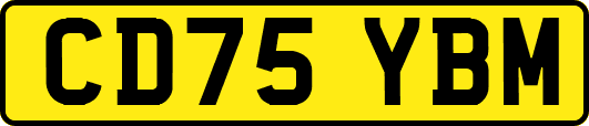 CD75YBM