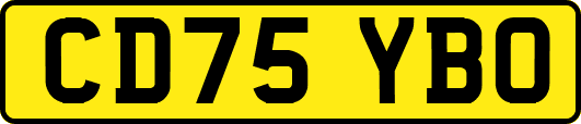 CD75YBO