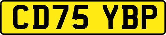 CD75YBP