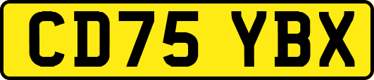 CD75YBX