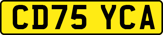 CD75YCA
