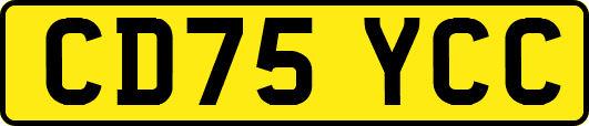 CD75YCC