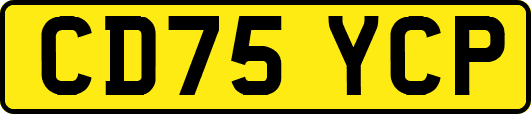 CD75YCP