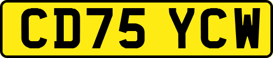 CD75YCW