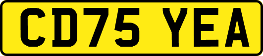 CD75YEA