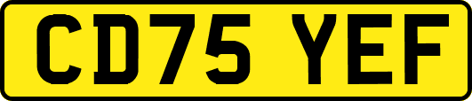 CD75YEF