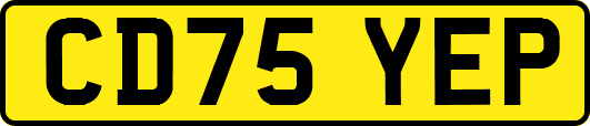 CD75YEP