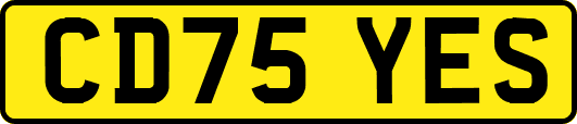CD75YES