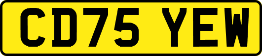 CD75YEW