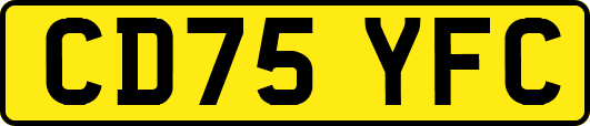CD75YFC