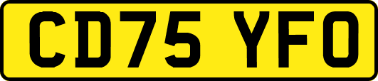 CD75YFO
