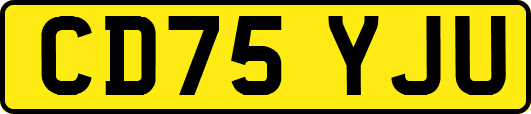 CD75YJU