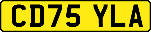 CD75YLA