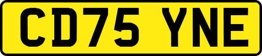 CD75YNE