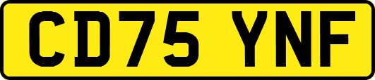 CD75YNF