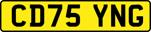 CD75YNG