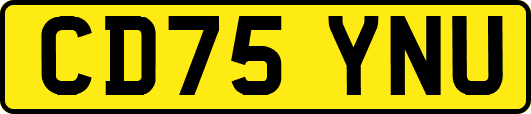 CD75YNU