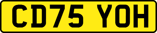 CD75YOH