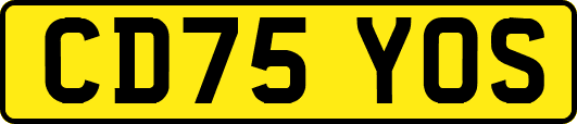 CD75YOS