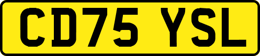 CD75YSL