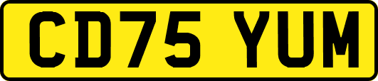CD75YUM
