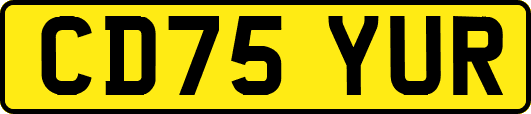 CD75YUR