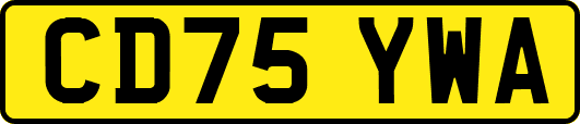 CD75YWA