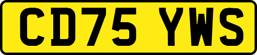 CD75YWS