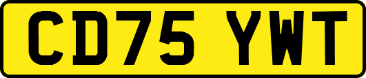 CD75YWT