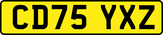 CD75YXZ