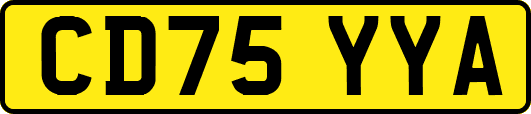 CD75YYA