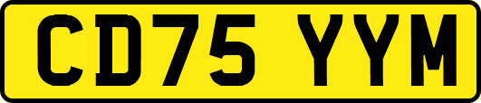 CD75YYM