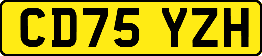 CD75YZH