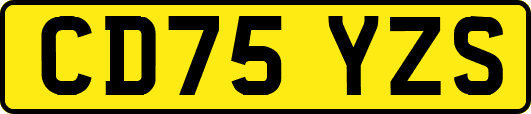 CD75YZS