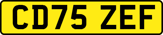CD75ZEF