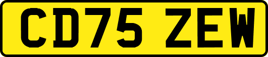 CD75ZEW