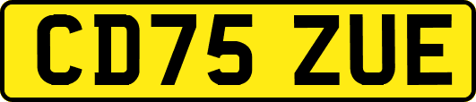 CD75ZUE