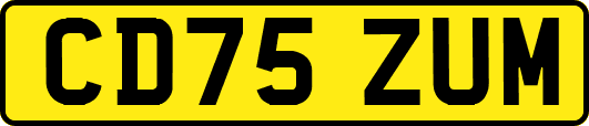 CD75ZUM