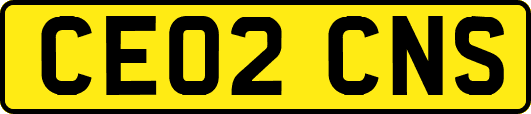 CE02CNS
