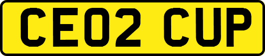 CE02CUP