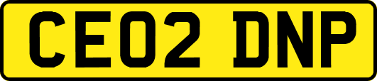 CE02DNP
