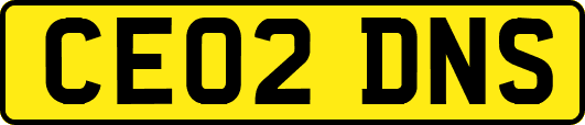 CE02DNS