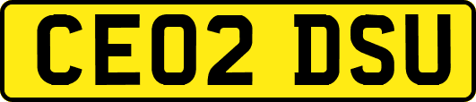 CE02DSU