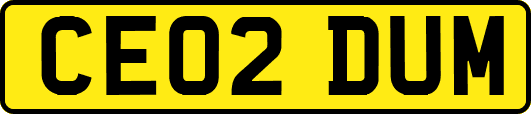 CE02DUM